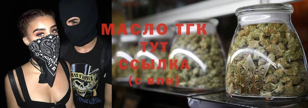 гидропоника Гусь-Хрустальный