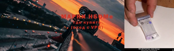 соль ск Гусев